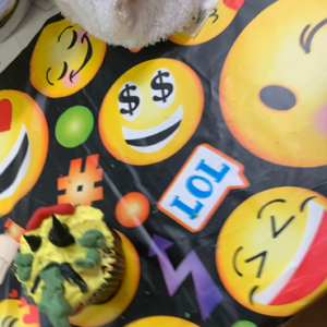 Jan 30, 1-2:30 pm $25: Emoji time! Kids!
