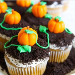 Pumpkin Patch - Open Studio - November 25