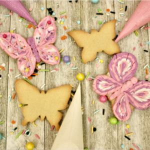 Butterflies - Open Studio - February