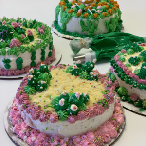 Succulents and pinks! - Open Studio
