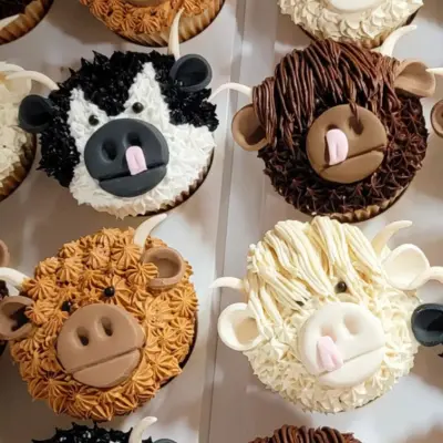 Highland Cows! - Open Studio